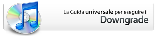 la guida al downgrade