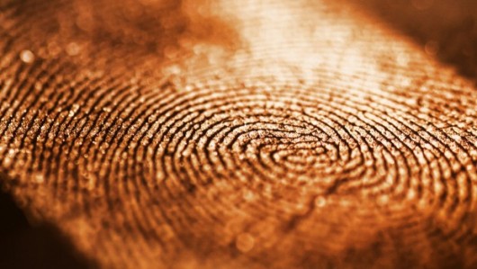 fingerprint_by_andrewpoison-d3b1s1h-620x350