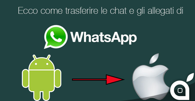 whatsapp trasnfer