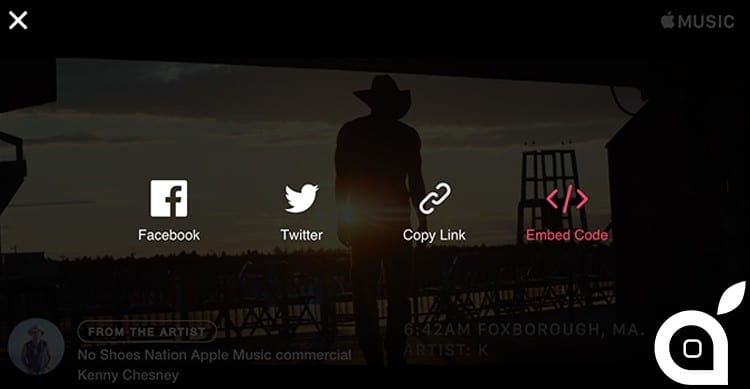 apple music embedded videos