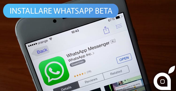 Whatsapp beta