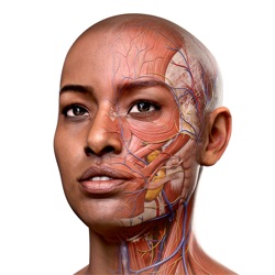 Icona dell'applicazione Complete Anatomy for iPad disponibile su App Store