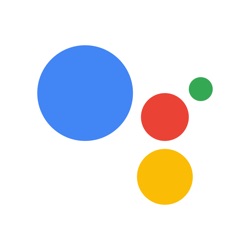 Icona dell'applicazione Assistente Google disponibile su App Store