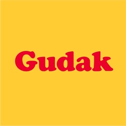 Icona dell'applicazione Gudak Cam disponibile su App Store