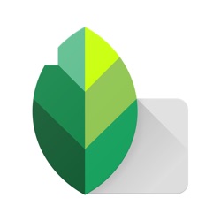 Icona dell'applicazione Snapseed disponibile su App Store