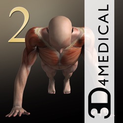 Icona dell'applicazione iMuscle 2 - iPhone Edition disponibile su App Store