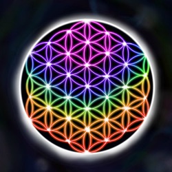 Icona dell'applicazione Dreamworld - Music Album disponibile su App Store