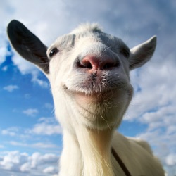 Icona dell'applicazione Goat Simulator disponibile su App Store