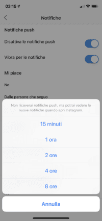 tempi di utilizzo instagram