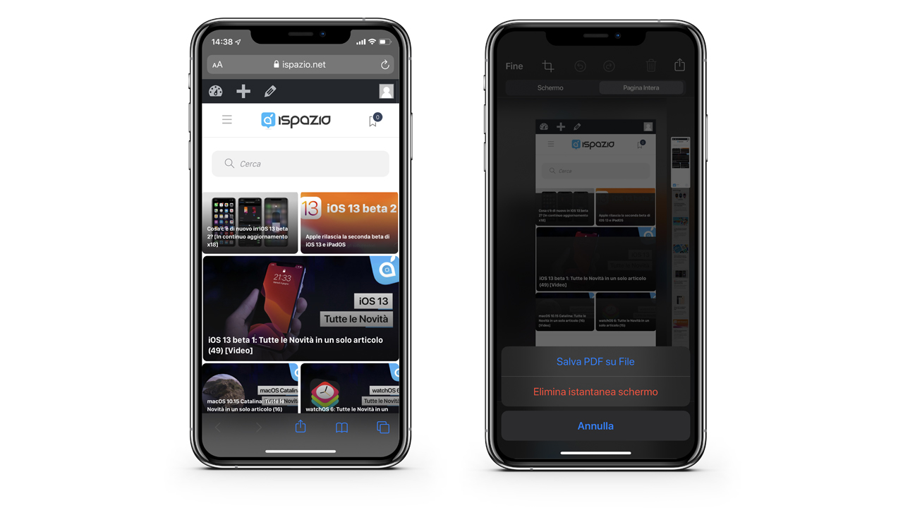 pdf safari 2