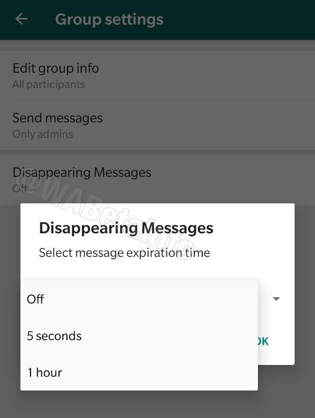 whatsapp messaggi autodistruzione disappearing messages