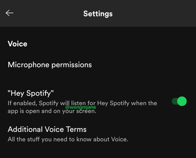 Hey Spotify