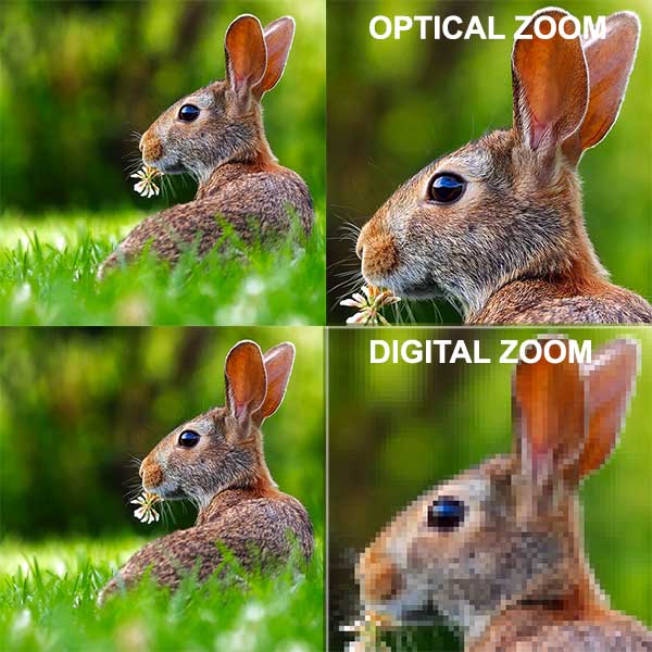 Zoom ottico vs digitale