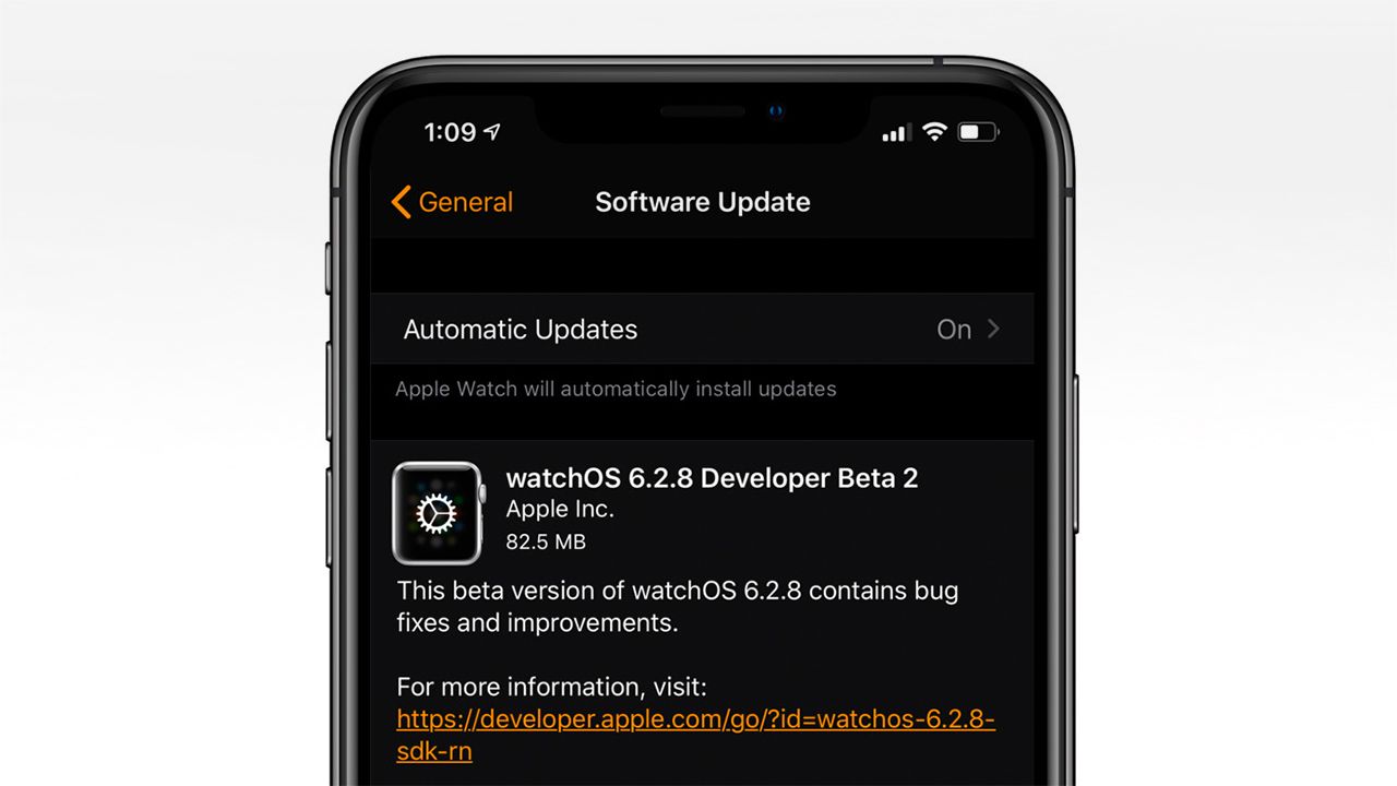 watchOS 6.2.8