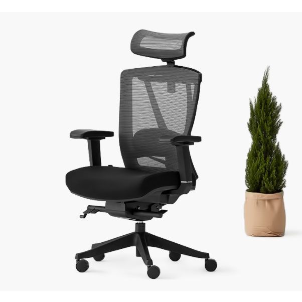 Immagine del prodotto ErgoChair 2 - Sedia ergonomica per estrema comodità