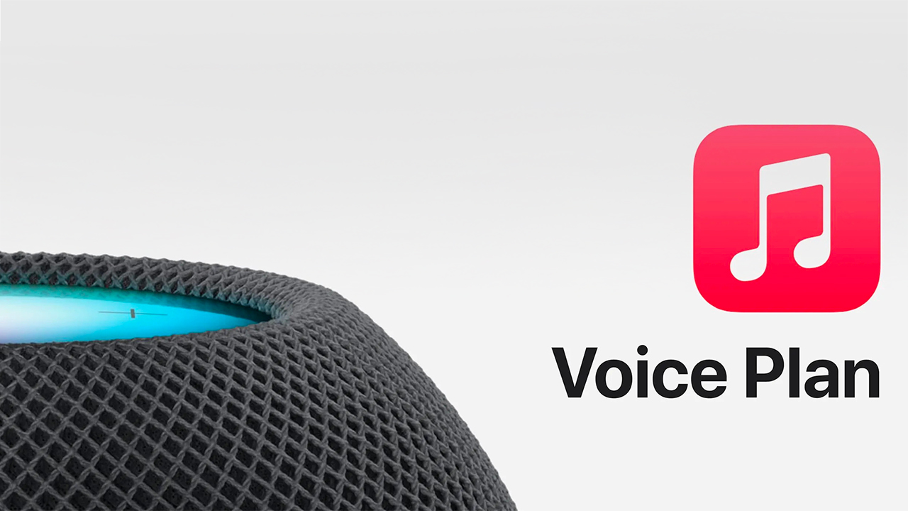 Voice plan