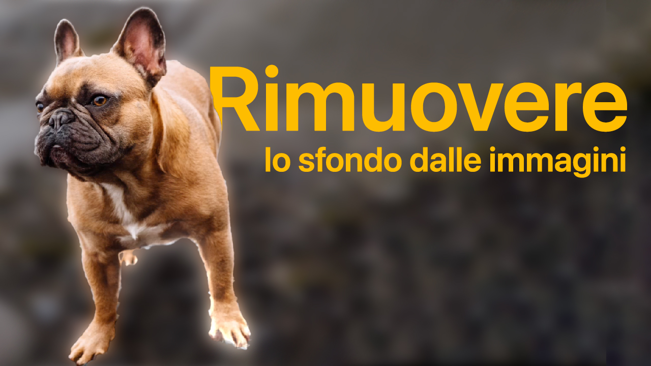 Come scontornare oggetti, persone e animali nelle foto velocemente, con iOS 16 (Video)