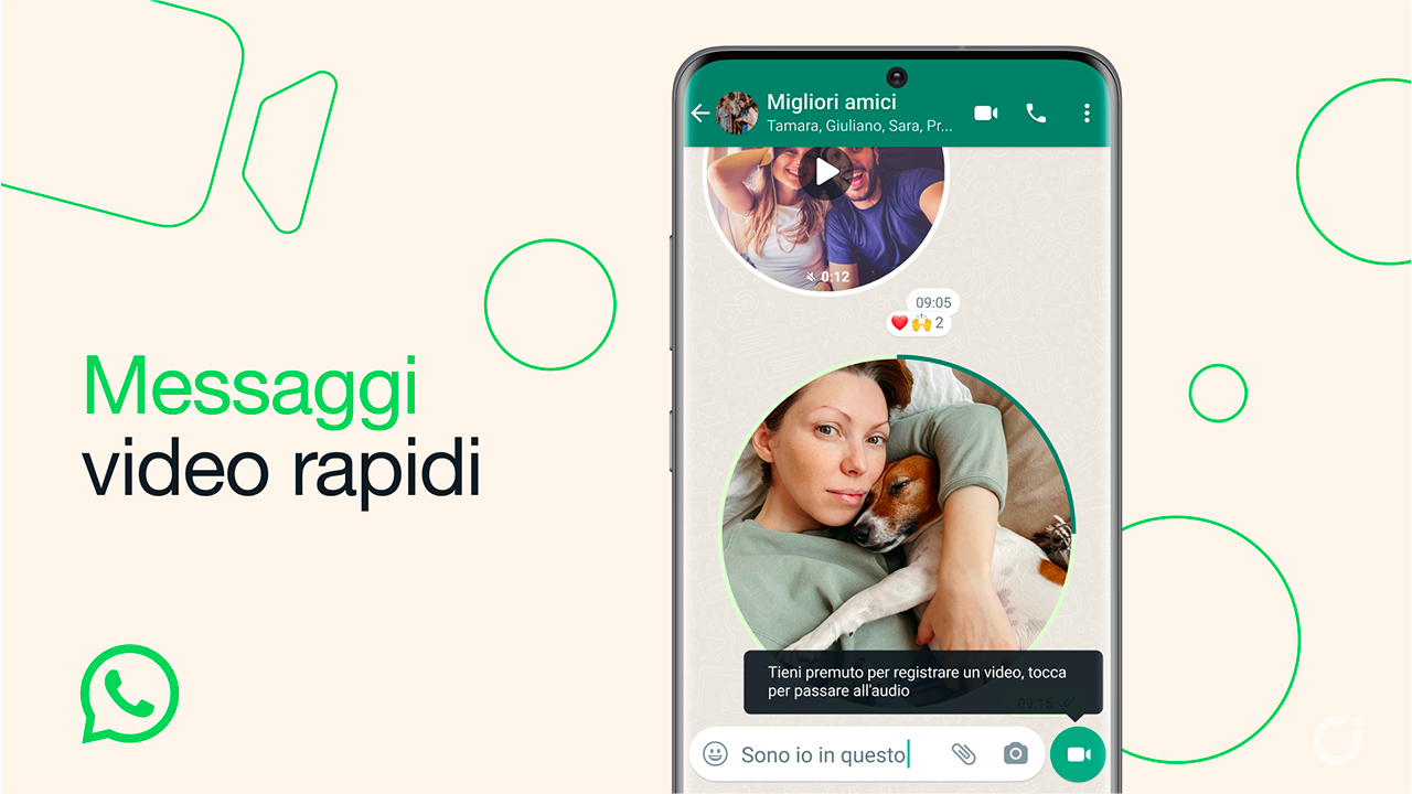 whatsapp video rapidi