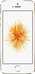 iPhone SE