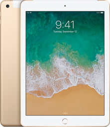 iPad 5 (Cellular)