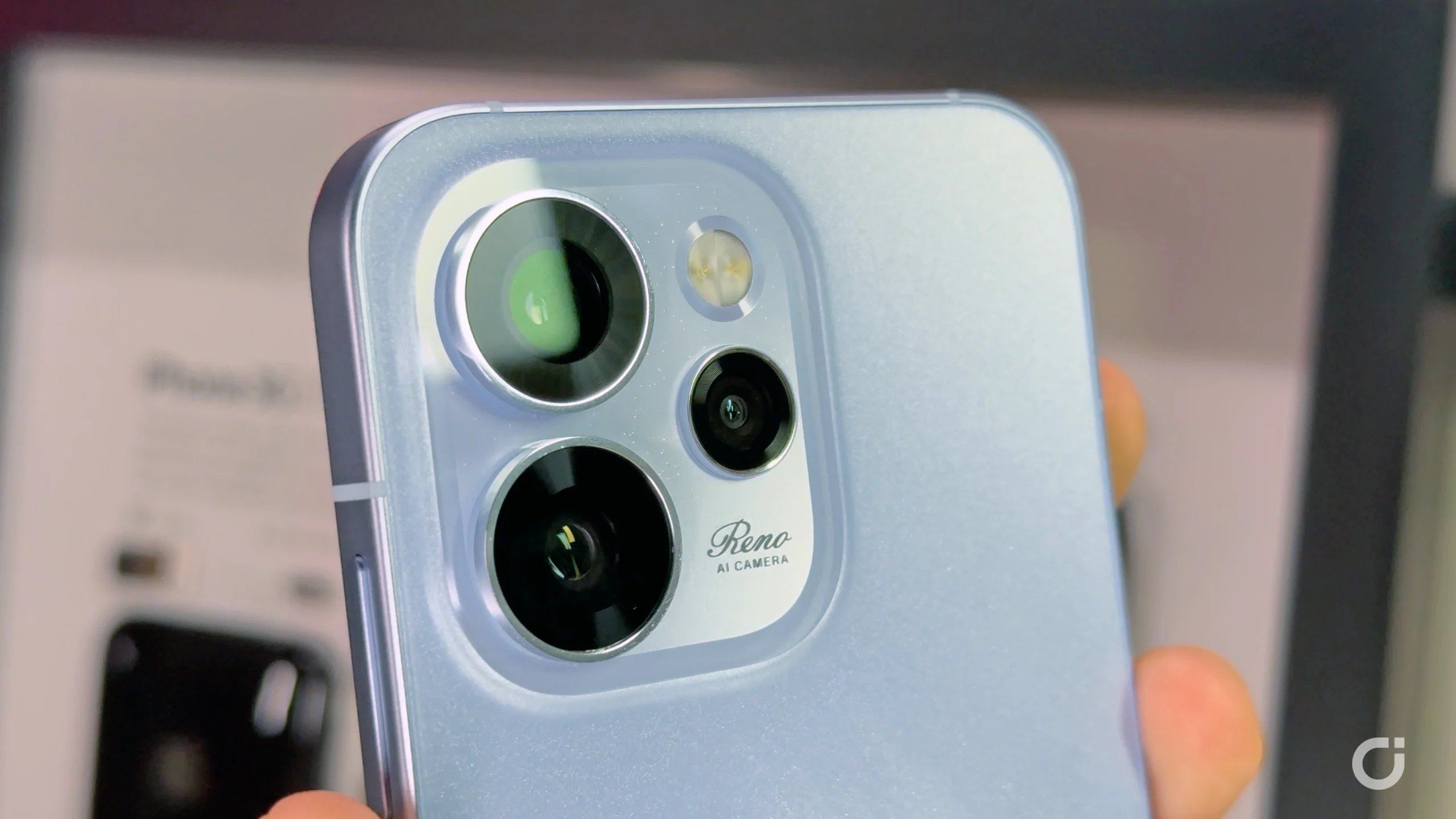 Comparto fotografico