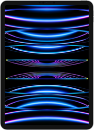 iPad Pro (11-inch, WiFi) (4th generation)